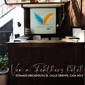 https://feathers-hotel-and-lounge.guatemalaantiguahotels.com